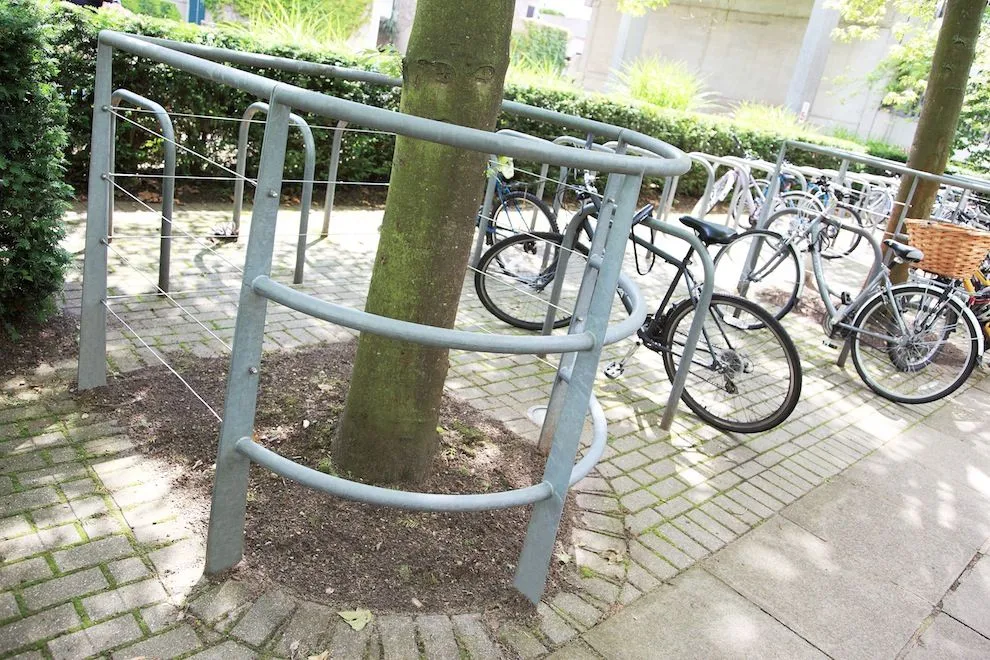 Galvanised steel cycle stands and tree guard on a university campus